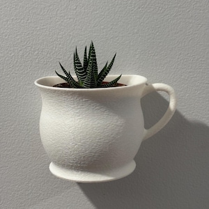 Puede incluir: Un macetero de cerámica blanco con forma de taza de té con asa, con una superficie texturizada. El macetero contiene una pequeña planta suculenta verde.