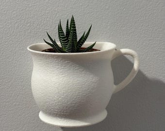 Whimsical Teacup Wall Planter – Unique Hanging Planter Succulents, Cactus,  Indoor Plants