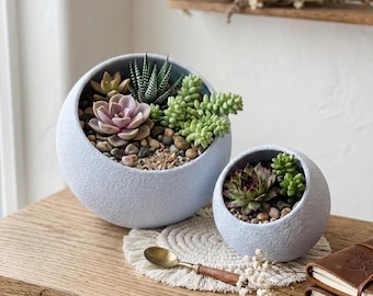 Orb Succulent Planter: 3D Printed Marble, Wall or Tabletop - Modern Design