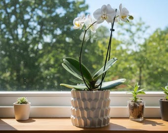Geometric Diamond Facet Planter | Modern Plant Pot, 3D Printed