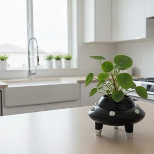 Maceta personalizada para suculentas con forma de OVNI / Decoración futurista para el hogar / Maceta única inspirada en extraterrestres / Regalo de inauguración