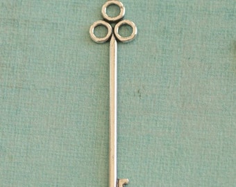 Zilveren Skeleton Key vinden van 2516