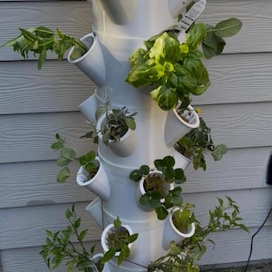 Peut inclure: Une tour de jardin verticale blanche avec de multiples poches de plantation, remplie de diverses herbes et légumes-feuilles. La tour est en plastique blanc et repose sur une base de seau blanche. Les plantes sont vert vif.
