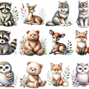 22 cliparts aquarelle animaux mignons des bois, clipart animaux de la forêt, décoration de chambre d'enfant, cerf, renard, hibou, raton laveur, loup, ours