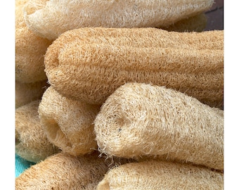 Set of 4 Loofah Sponge - Natural Grown Loofah Sponge - Set of 4 - No Chemicals -