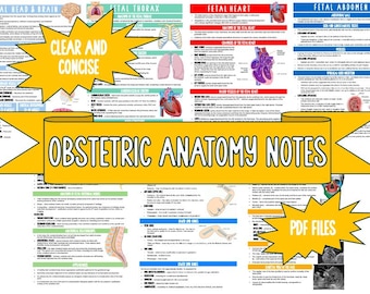 Obstetric Ultrasound FETAL ANATOMY Notes, Sonography Student Study Guides, Sonographer Notes