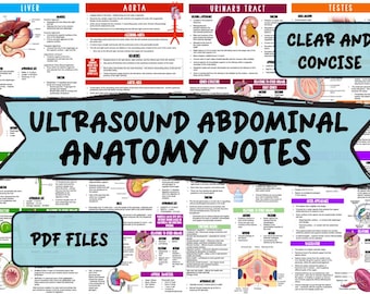 Könnte beinhalten: Ein farbenfrohes Diagramm mit Illustrationen der menschlichen Anatomie, einschließlich Leber, Aorta, Harnwege und Hoden. Das Diagramm trägt den Titel "Ultrasound Abdominal Anatomy Notes" und enthält den Text "Klar und prägnant" und "PDF-Dateien".