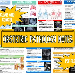 Puede incluir: Notas médicas tituladas "Obstetric Pathology Notes" que detallan problemas de salud fetal. La imagen presenta diagramas y texto, que cubren patologías de cabeza, cerebro, tórax, corazón y abdomen. Las palabras "Clear and Concise" y "PDF Files" también son visibles.