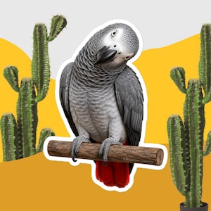 May include: A sticker featuring an African Grey parrot with gray feathers, a black beak, and bright red tail feathers, perched on a brown wooden branch. The text Bridgetown Chronicles is printed in small white letters on the branch.
