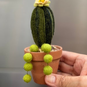 Echinopsis Peanut Cactus “Never Die” variety Wool Needle Felted Sculpture in Clay Pot Collectible Handmade - Val's Art Studio