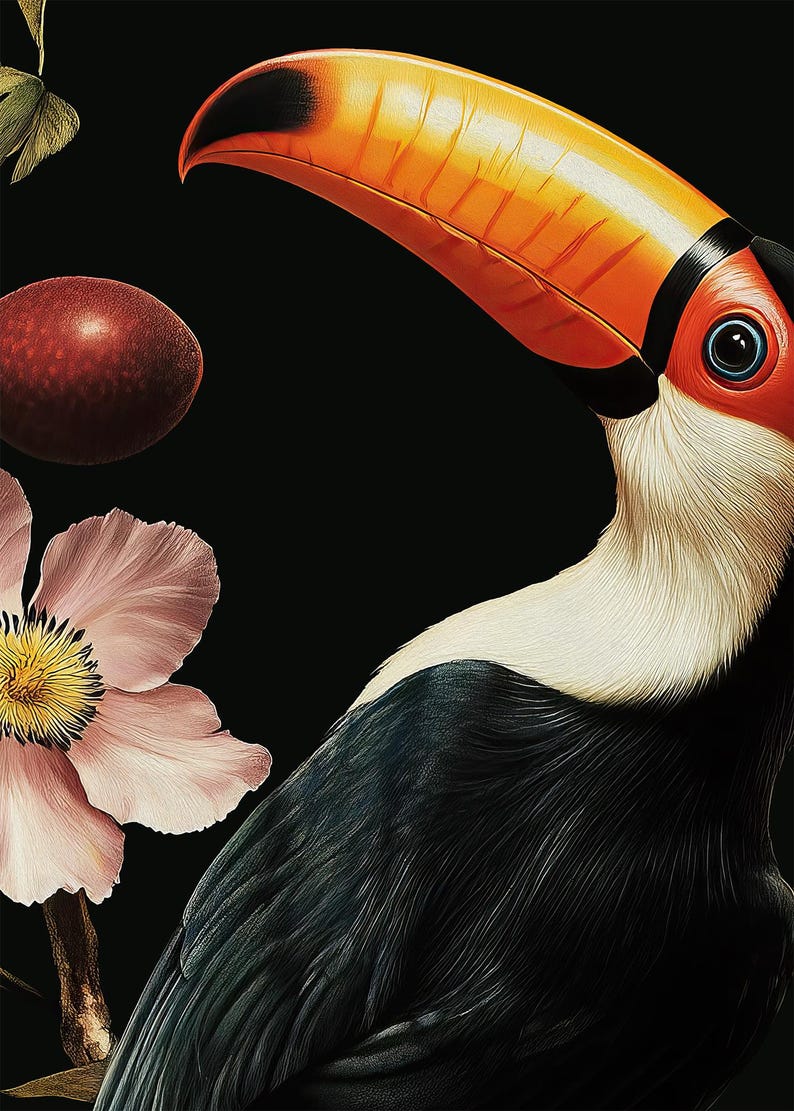 May include: A toucan with a large orange beak and black and white feathers. The toucan is looking to the right of the image. A pink flower and a red fruit are in the background.