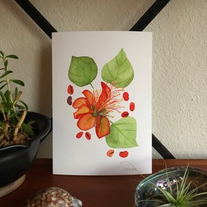 Wiliwili Print