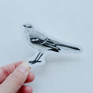 Northern Mockingbird - Vinyl Die Cut Sticker