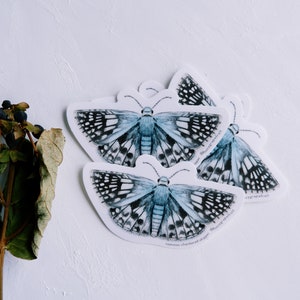 Common Checkered Skipper Butterfly - Vinyl Die Cut Sticker