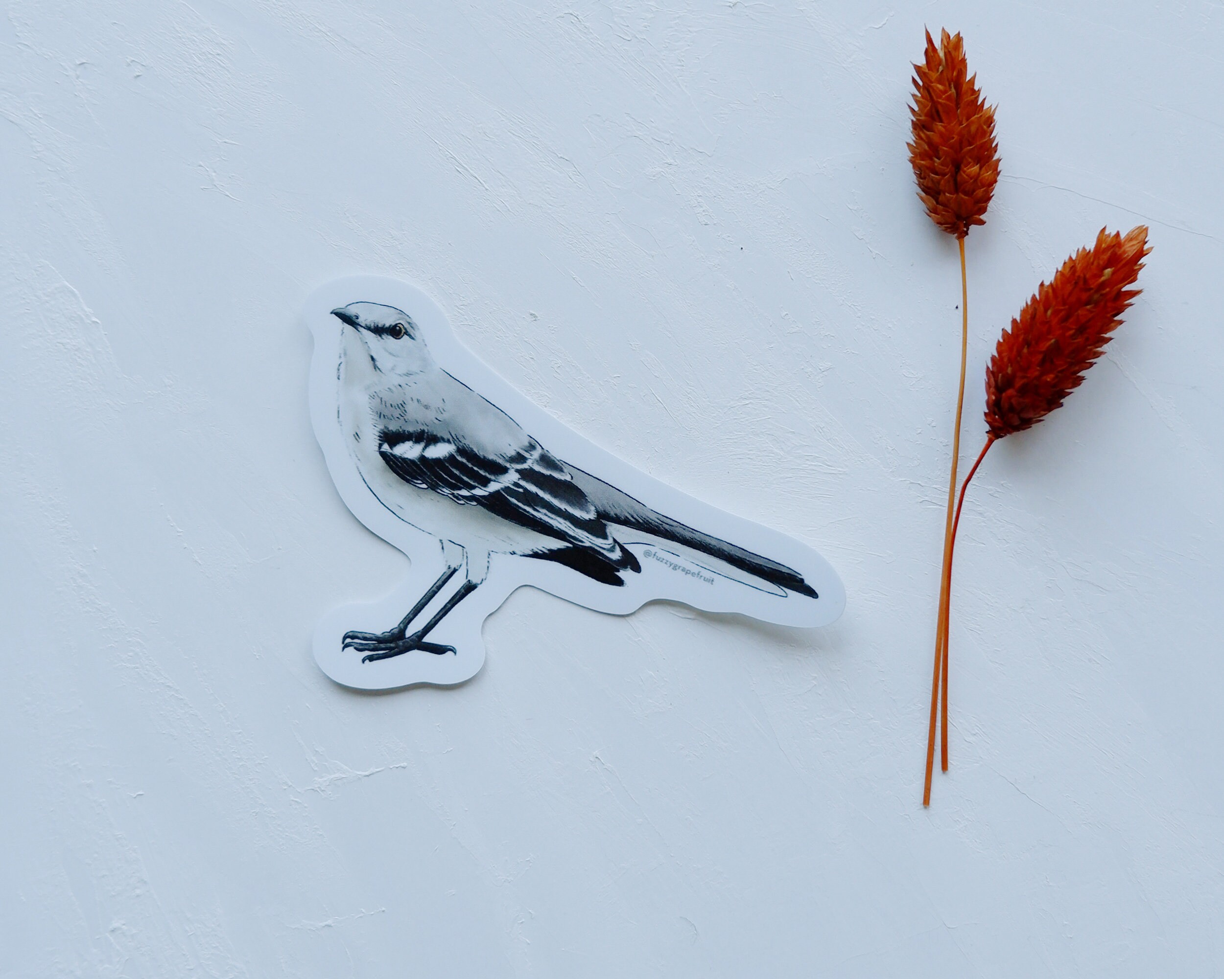 Northern Mockingbird - Vinyl Die Cut Sticker - Etsy