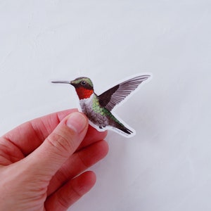 May include: A sticker of a hummingbird in flight. The hummingbird is green, red, and black with a long, thin beak. The sticker is on a white background.