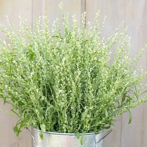 Puede incluir: Un ramo de flores blancas con tallos verdes en un cubo de metal galvanizado.