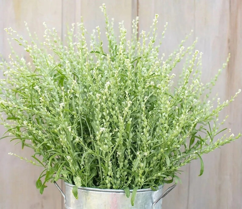 Puede incluir: Un ramo de flores blancas con tallos verdes en un cubo de metal galvanizado.