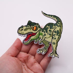 May include: Embroidered patch of a green and tan Tyrannosaurus Rex dinosaur with an open mouth, showing red inside. The dinosaur has orange eyes and white teeth. The patch is held in a hand.