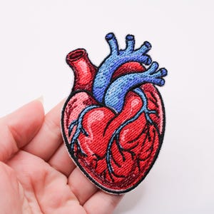 May include: Embroidered patch of a human heart, featuring red and blue detailing. The heart is red with blue veins and arteries. The patch is held in a hand against a white backdrop.