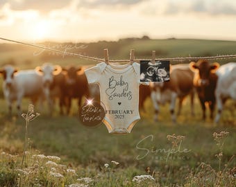 May include: A white onesie with the text "Baby Sanders" and "February 2025" hanging on a clothesline with a sonogram photo. The onesie is in front of a field with cows in the background.