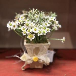 May include: A small white ceramic planter with a decorative design, filled with a bouquet of white daisies.