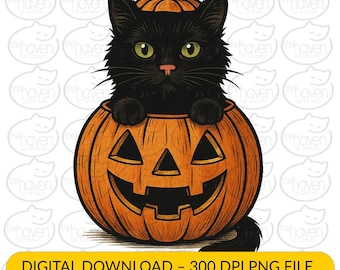 Halloween Black Cat in Pumpkin Digital Art Print Jack o Lantern PNG Download