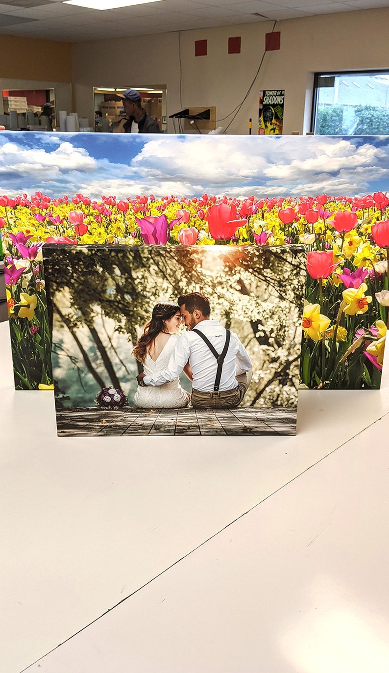 Philadelphia Eagles Stadium Poster and Canvas Etsy