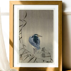 小原古邨作「雨の中のゴイサギ」。サギ鳥のプリント。静かなアート。水鳥の壁アート。鳥の壁アート。自然の風景アート装飾。