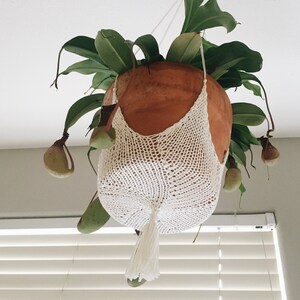 HANGER KNITTING PATTERN Pot Hanging, Hanging Ornament Star pot hanger image 3