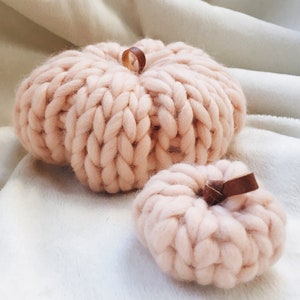 PUMPKIN KNITTING PATTERN Home Decor The Pumpkin Collection x2 image 2