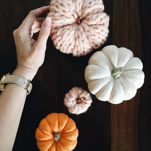 PUMPKIN KNITTING PATTERN Home Decor The Pumpkin Collection x2 image 7