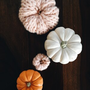 PUMPKIN KNITTING PATTERN Home Decor The Pumpkin Collection x2 image 9