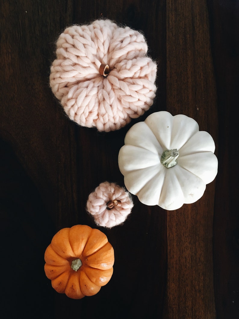 PUMPKIN KNITTING PATTERN Home Decor The Pumpkin Collection x2 image 9