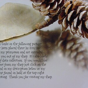 May include: A close-up of a pine cone on a reflective surface. The text "The tags/links in the following picture slot have been placed there by Etsy Inc. without my permission and are intended to direct you out of my shop. It's also likely a form of data collection. If you would like to see more from my shop just click on the link found in my description below or my shop name found in bold at the top right of this listing. Thank you for visiting my shop." is visible in the image.