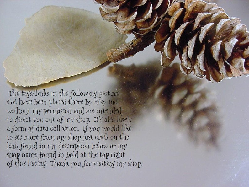 May include: A close-up of a pine cone on a reflective surface. The text "The tags/links in the following picture slot have been placed there by Etsy Inc. without my permission and are intended to direct you out of my shop. It's also likely a form of data collection. If you would like to see more from my shop just click on the link found in my description below or my shop name found in bold at the top right of this listing. Thank you for visiting my shop." is visible in the image.