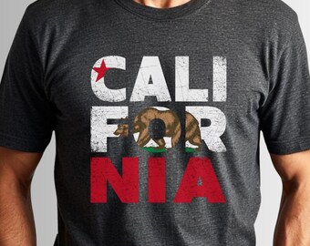 California Flag Graphic T-Shirt, Vintage California State Pride Shirt, Unisex or Youth Cali Shirt, Summer Tee, Gift for Californians
