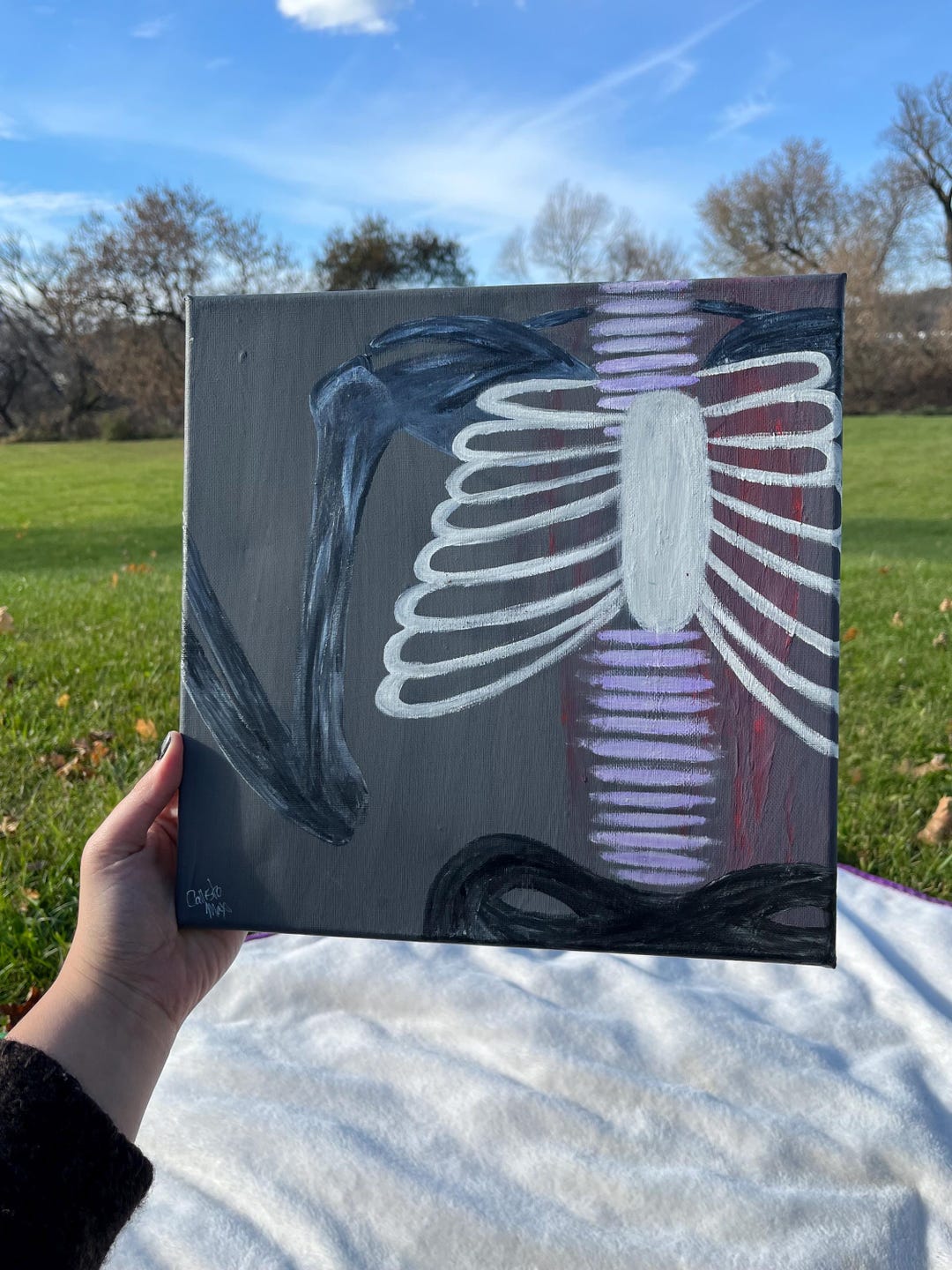 Rib Cage - Etsy
