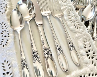 Oneida Community Silver Plate Silverplated 55 Piece Flatware Set