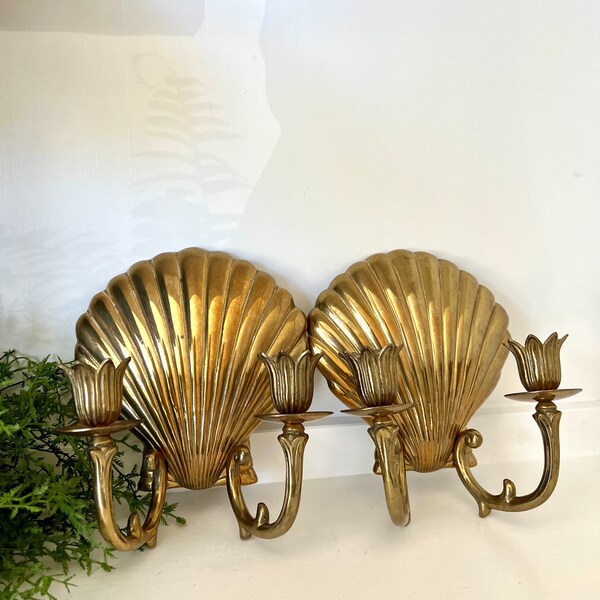 Shell Sconce - Etsy