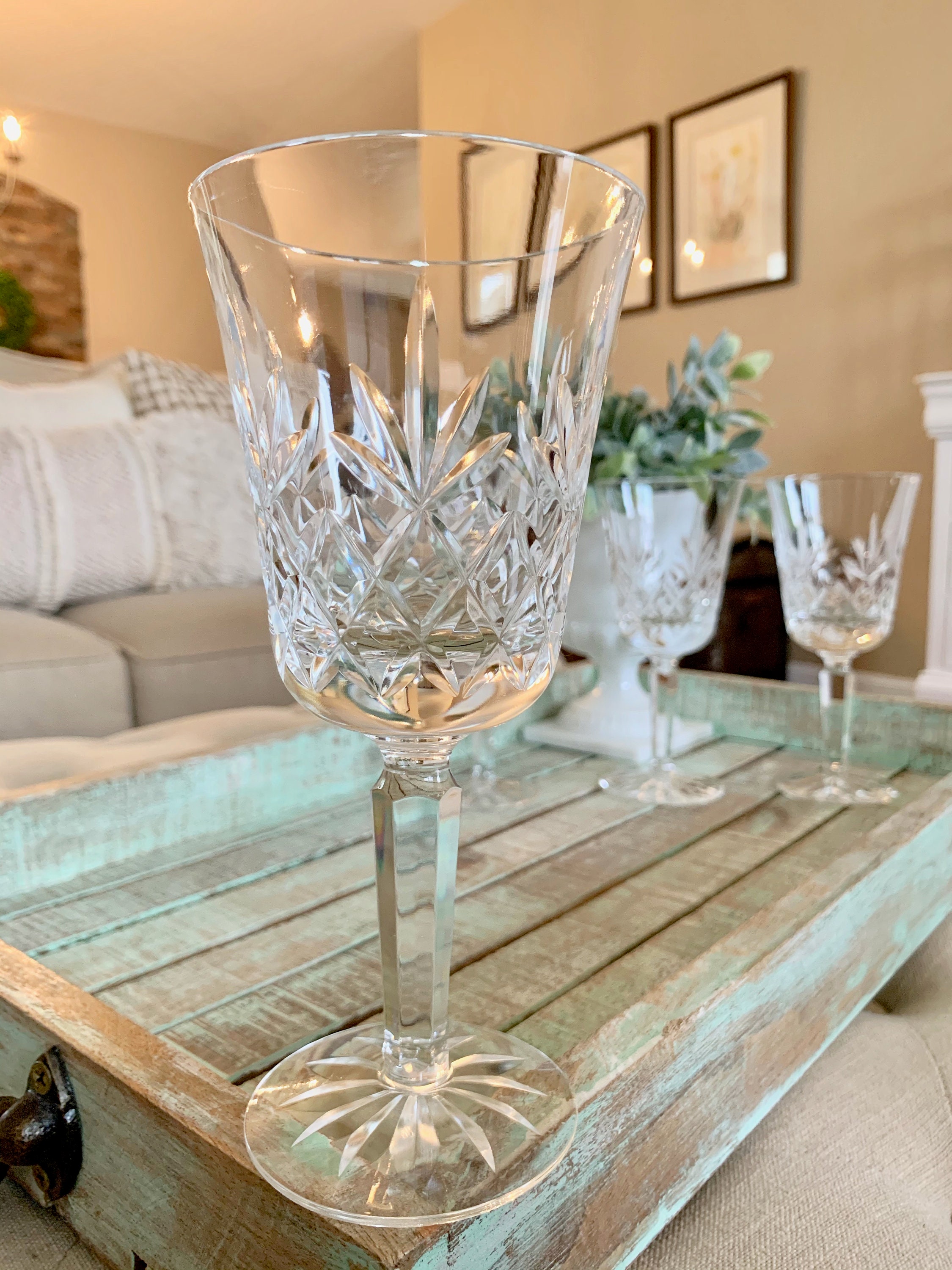 Lucia Acrylic Goblet Wine Glasses, Set of 4
