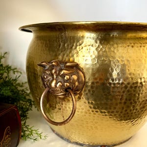 May include: A hammered brass planter with a lion's head ring handle. The round, gold-colored pot has a textured surface and a wide rim. The lion's head is a bronze color, adding a decorative touch to the planter.