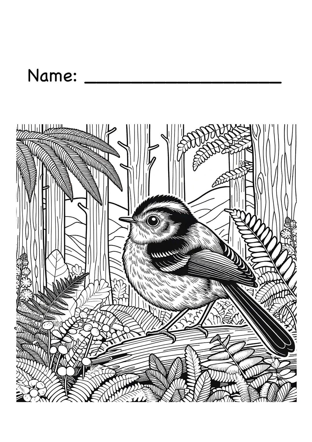New Zealand Fantail (pīwakawaka) Children's Colouring Page - Etsy