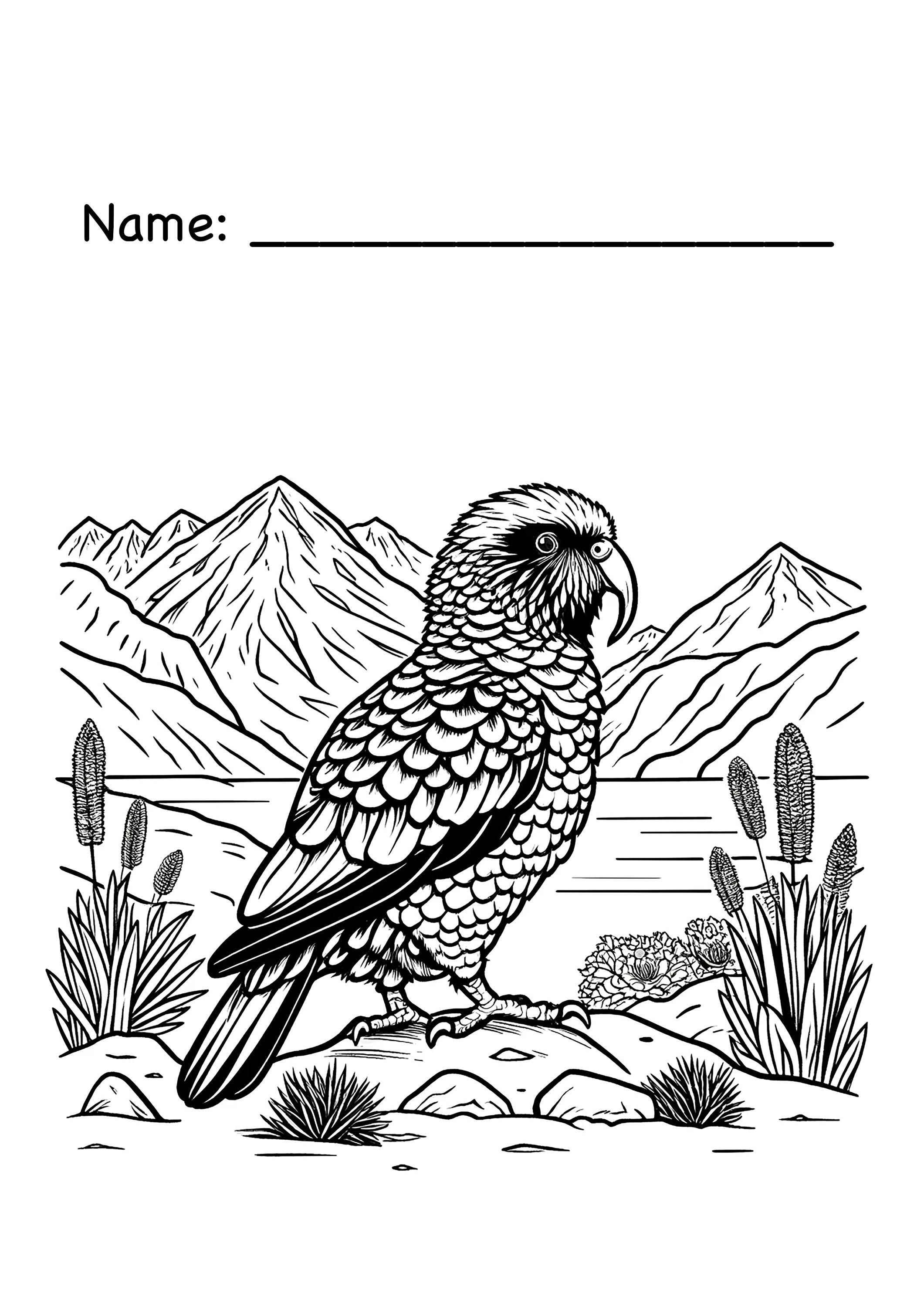New Zealand Kea Children's Colouring Page