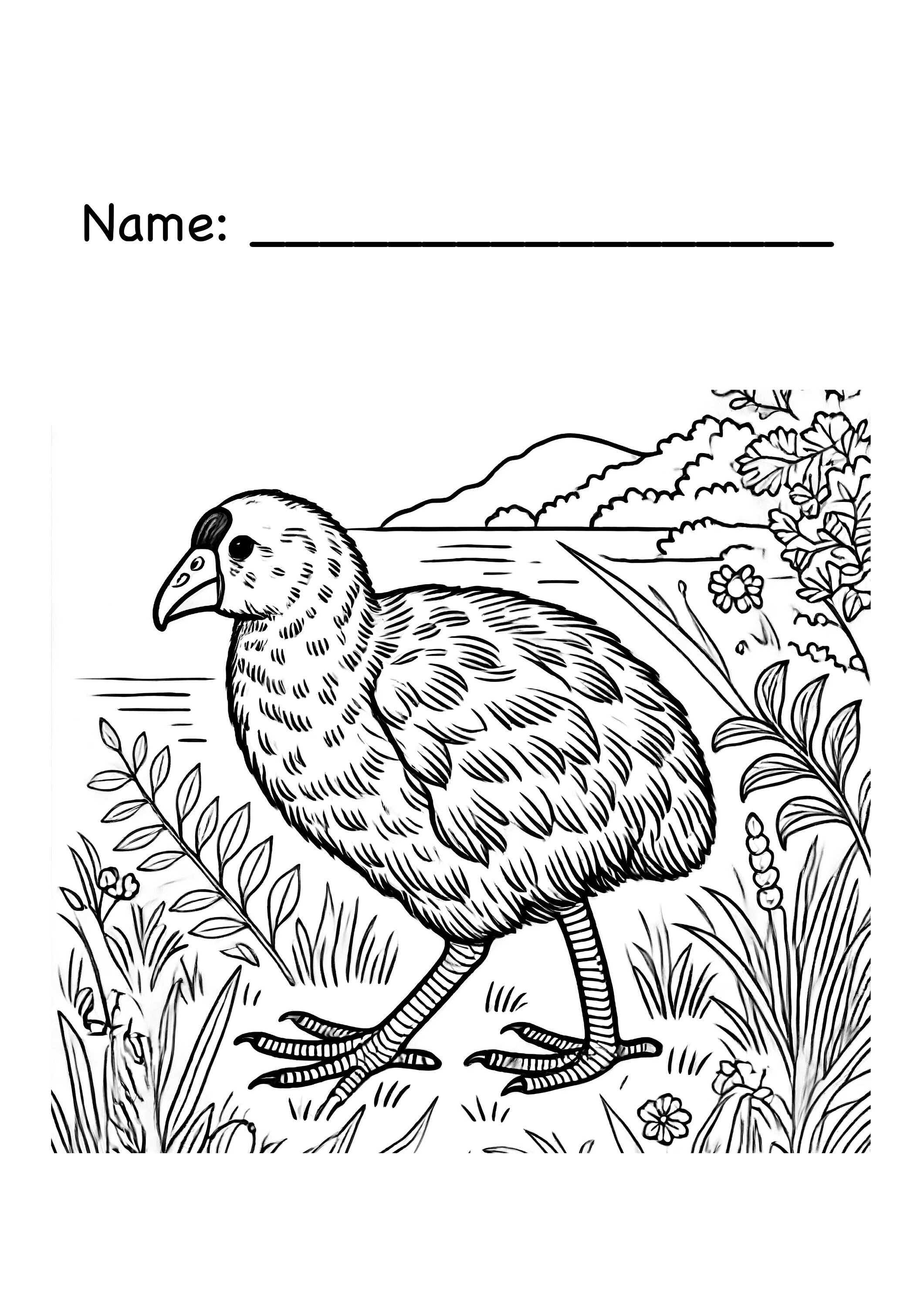 new zealand's colouring book 塗り絵 New Zealand A-Z Colouring Book