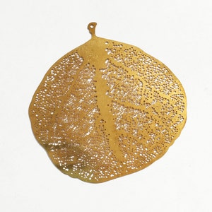 6 Raw Brass Stamped Leaf Pendants: Thin Brass Charms (52x50mm)
