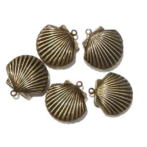 May include: Five antique bronze-colored seashell charms with a textured, ridged design. Each charm has a small loop at the top for attaching to jewelry or other crafts. The charms are arranged on a white background.