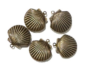 5 Antiqued Messing Shell Medaillons: 22 x 23 mm Anhänger