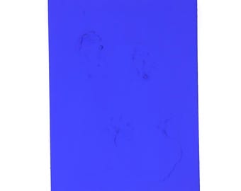 Ultramarinblauer Hund IKB 0001
