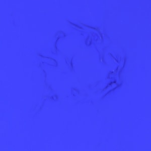 Ultramarine Dog IKB 0002